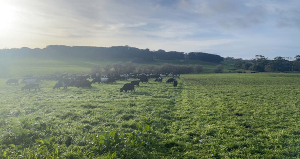 Click to view all images 464 Timboon-Colac Road Scotts Creek VIC 3267 - Image 2
