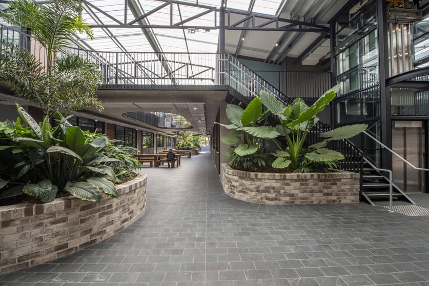 Click to view all images 2/99 Moore Street Leichhardt NSW 2040 - Image 2