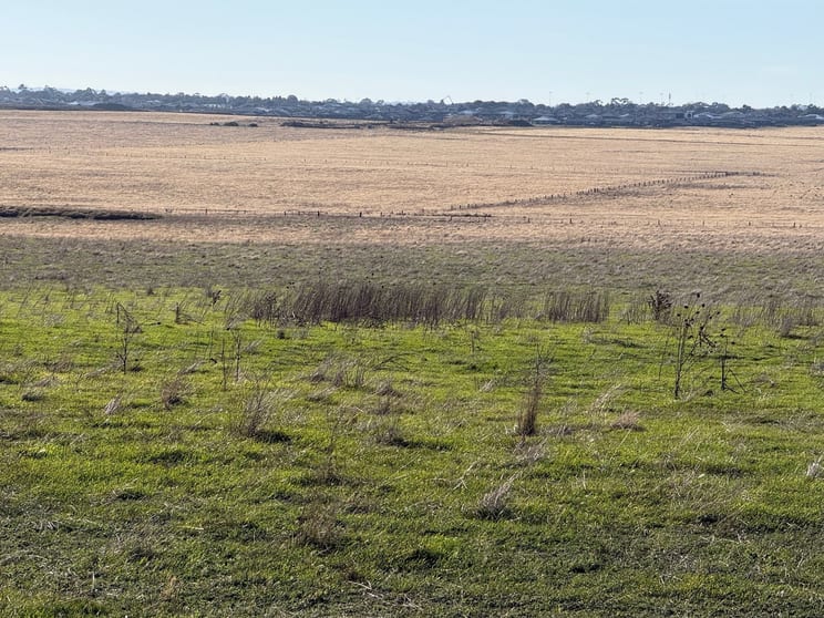 Click to view all images 410 Ballarat Carngham Road Lucas VIC 3350 - Image 3