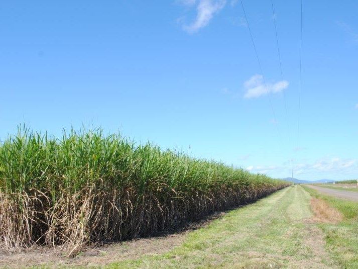 Click to view all images Stephenson & Rinaudo Road Lower Cowley QLD 4871 - Image 1