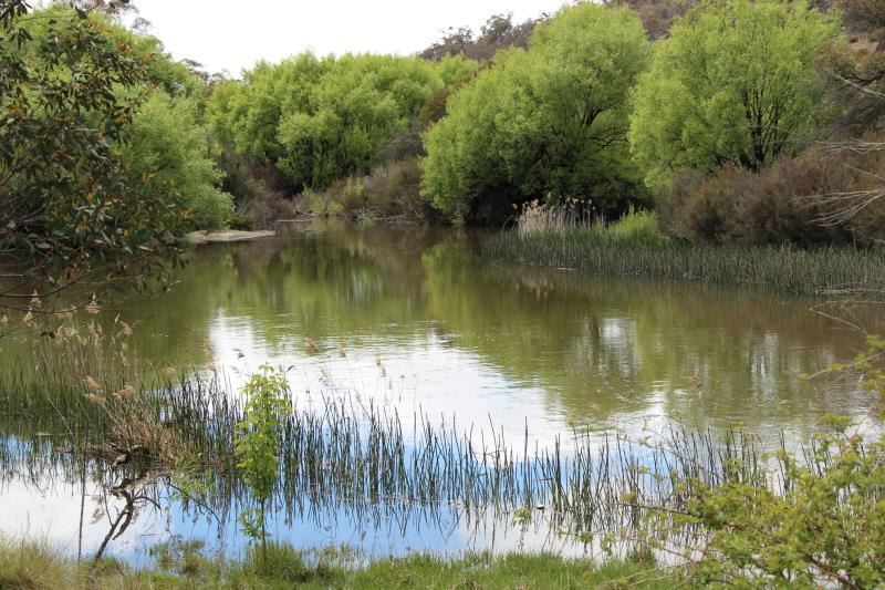 Click to view all images 1074 Bobeyan Road Adaminaby NSW 2629 - Image 1