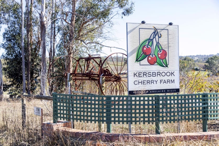 Click to view all images Kersbrook Cherry Farm 1718 South Para Road Kersbrook SA 5231 - Image 2