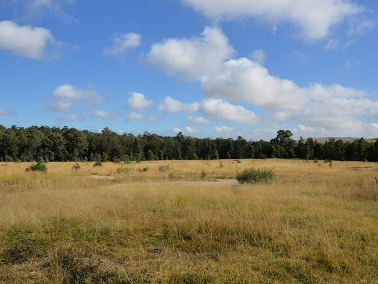 Click to view all images Lot 206 Rosedale Close Singleton NSW 2330 - Image 1