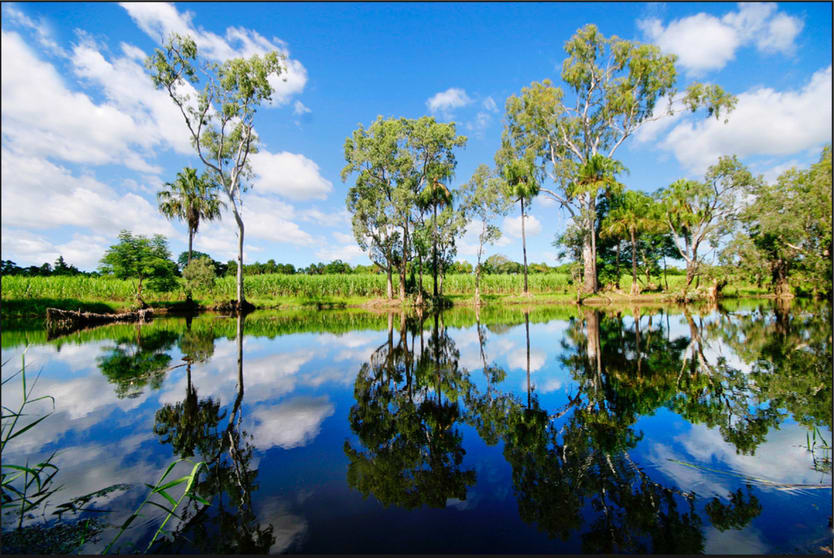 Click to view all images 207 Pilchowski Road Giru QLD 4809 - Image 1