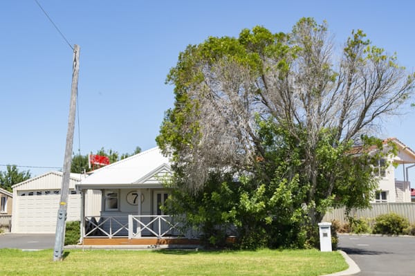 Click to view all images 7 Doris Street South Bunbury WA 6230 - Image 2