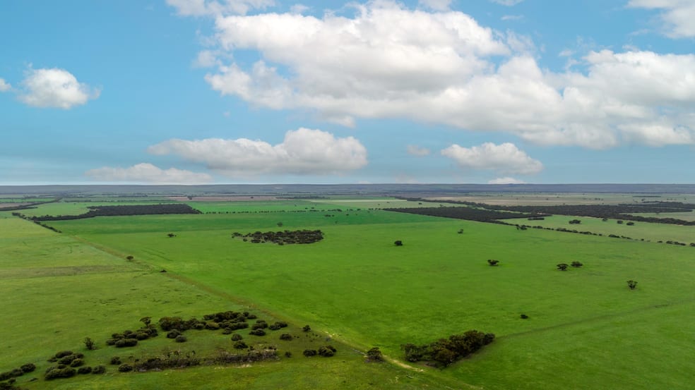 Click to view all images 2293 Mallee Highway Sherlock SA 5301 - Image 1