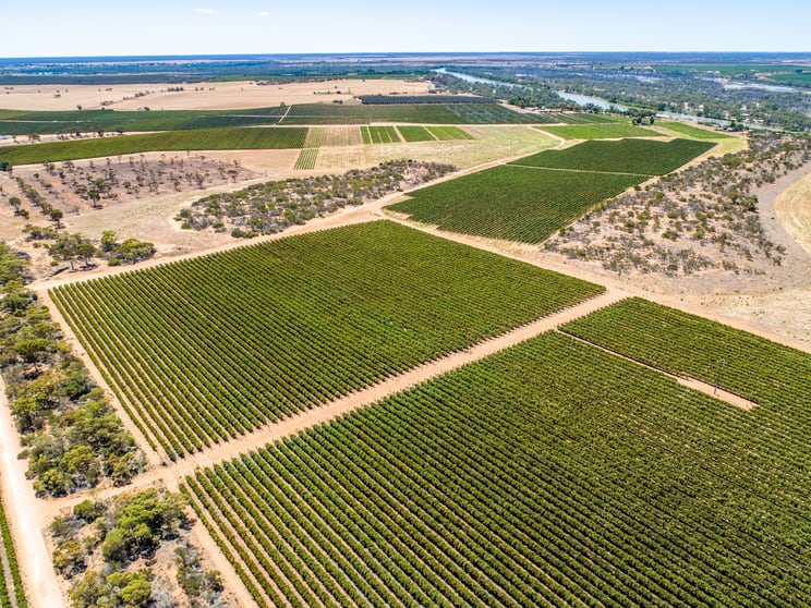 Click to view all images 946 Murrayview Road Qualco SA 5322 - Image 1
