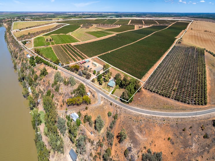 Click to view all images 946 Murrayview Road Qualco SA 5322 - Image 3