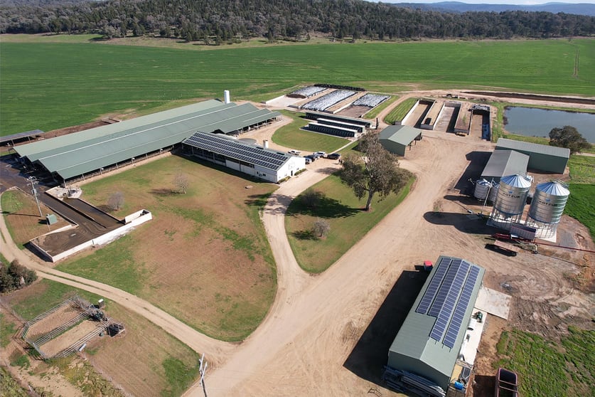 Click to view all images Silvermere Holsteins Forbes Road Cowra NSW 2794 - Image 1