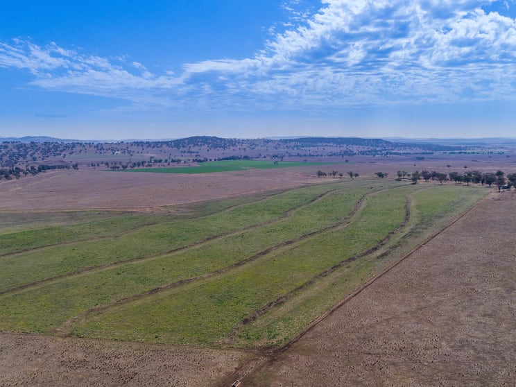 471 McDonalds Creek Road Parraweena NSW 2339 - Image 3
