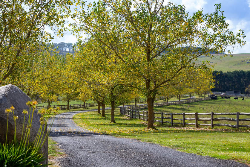 Click to view all images 200 Mount Norway Road Oberon NSW 2787 - Image 1