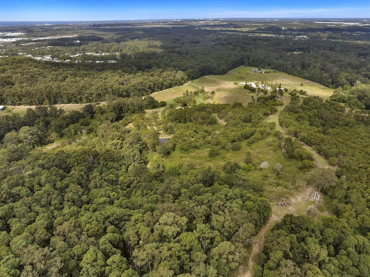 Click to view all images 99 De Zen Road Palmview QLD 4553 - Image 1