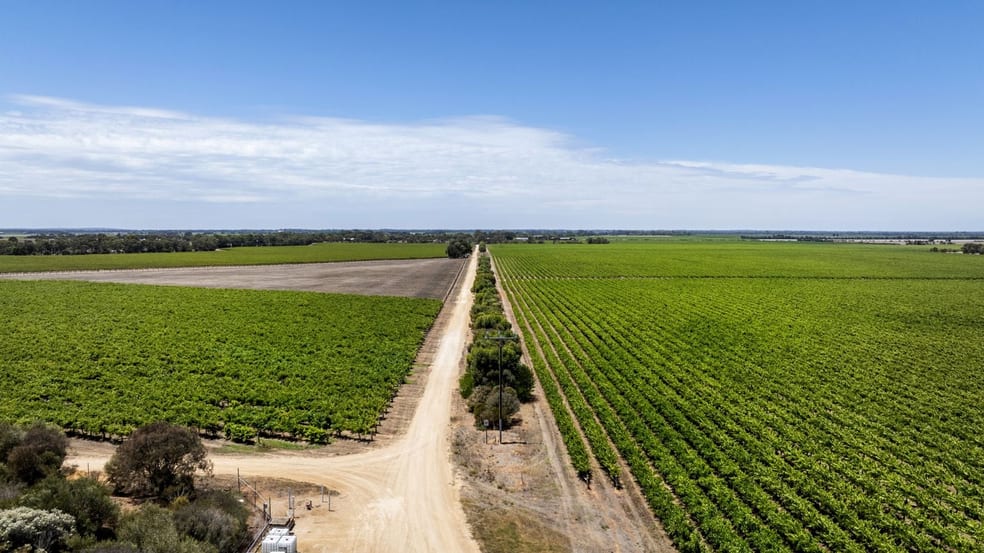 179 Milang Road Belvidere SA 5255 - Image 3