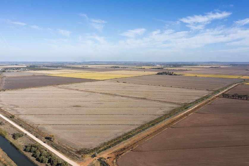 Farm/360 Condon Rd Bilbul NSW 2680 - Image 2