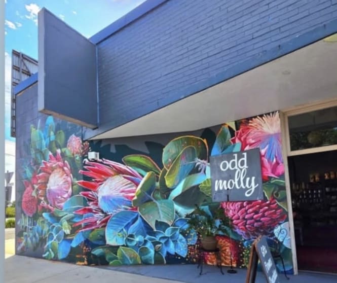 1 Cooper Street Macksville NSW 2447 - Image 2
