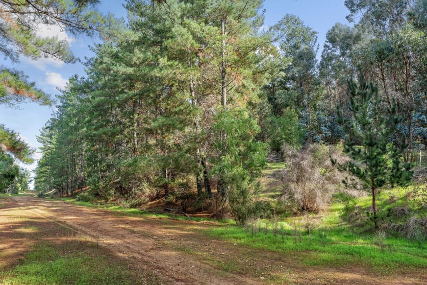 Lots 61 & Coalfields Road Roelands WA 6226 - Image 3