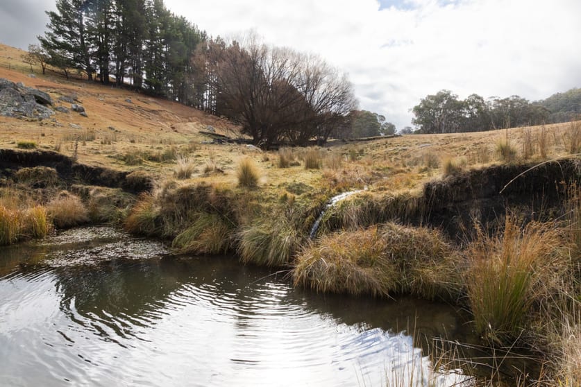175 Tumbledown Road Peak View NSW 2630 - Image 3