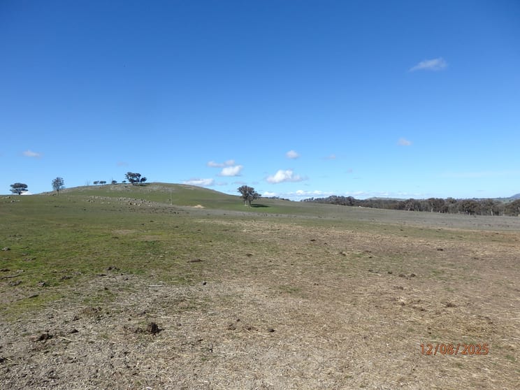 Click to view all images 45 MOORBYS LANE Bowning NSW 2582 - Image 3