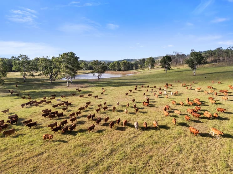 123 Foggs Road Harlin QLD 4314 - Image 2