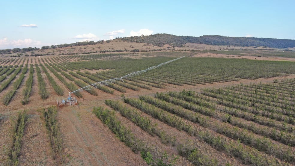 12605 Eidsvold Theodore Road Camboon QLD 4719 - Image 2