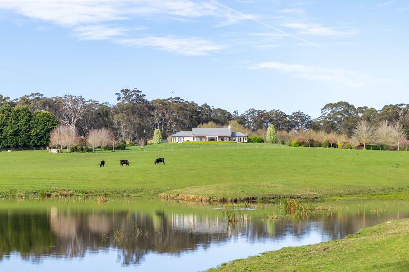 Click to view all images 181 & 145 Walkers Lane Avoca NSW 2577 - Image 3
