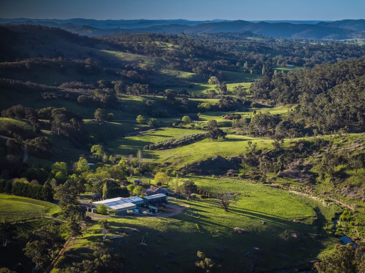 Click to view all images 3326 Peelwood Rd Peelwood NSW 2583 - Image 1