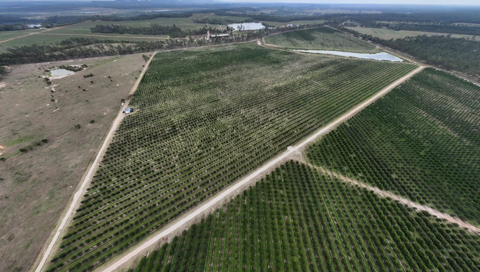 Bucca QLD 4670 - Image 3
