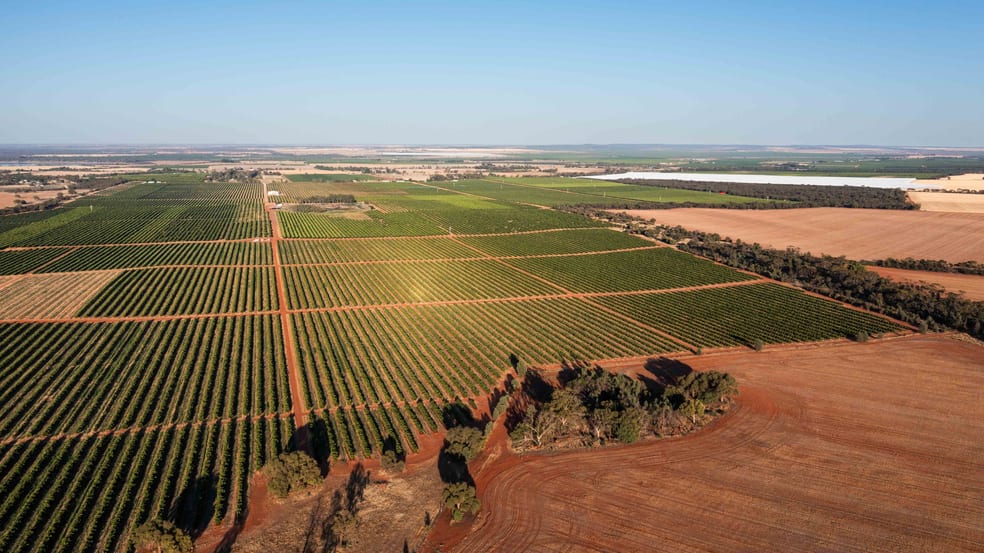 Nericon NSW 2680 - Image 3