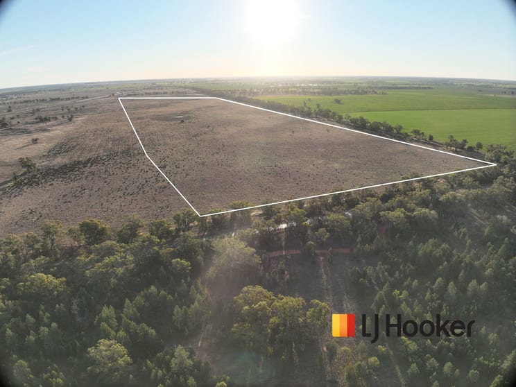Click to view all images 397 Craigie Lea Lane Narromine NSW 2821 - Image 2
