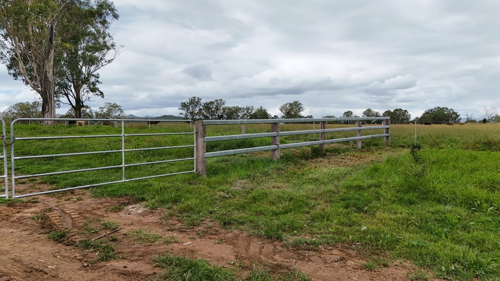 Click to view all images Holding 2/288 Round Mountain Road Laravale QLD 4285 - Image 5
