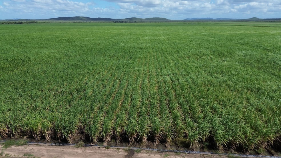 218 Oats Road Fredericksfield QLD 4806 - Image 1