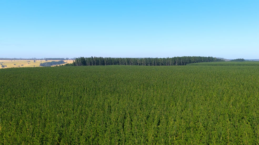 Click to view all images Colac VIC 3250 - Image 1