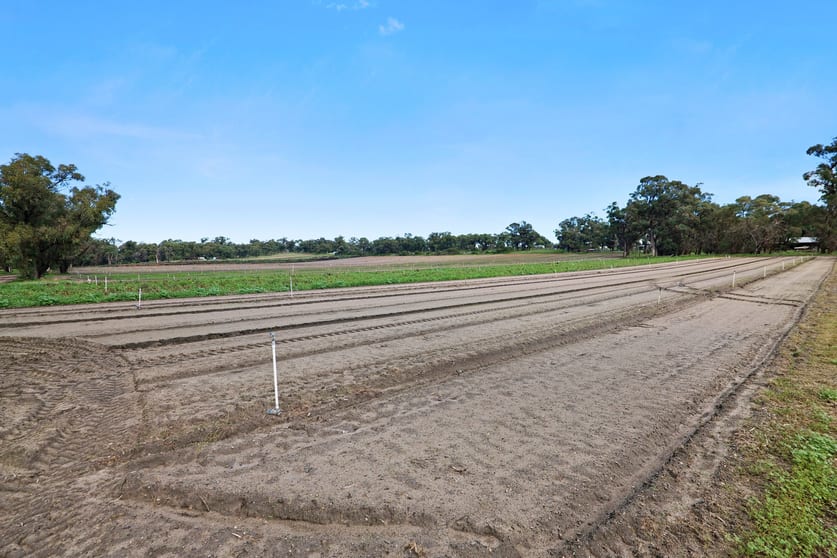 Click to view all images Lot 820 Sixty Eight Road Baldivis WA 6171 - Image 2