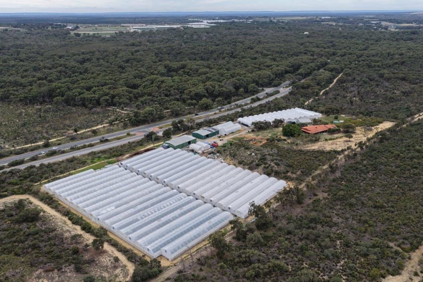 Click to view all images 3049 Wanneroo Road Carabooda WA 6033 - Image 2