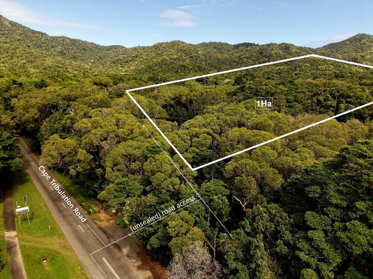 332 Cape Tribulation Road, Cow Bay Daintree QLD 4873 - Image 1