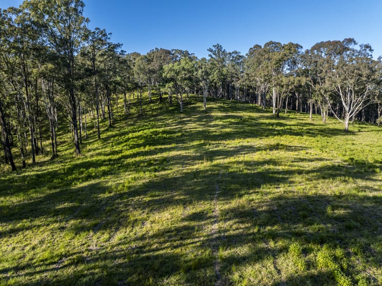 Click to view all images 113-124 Boormans Rd Tyalgum NSW 2484 - Image 4