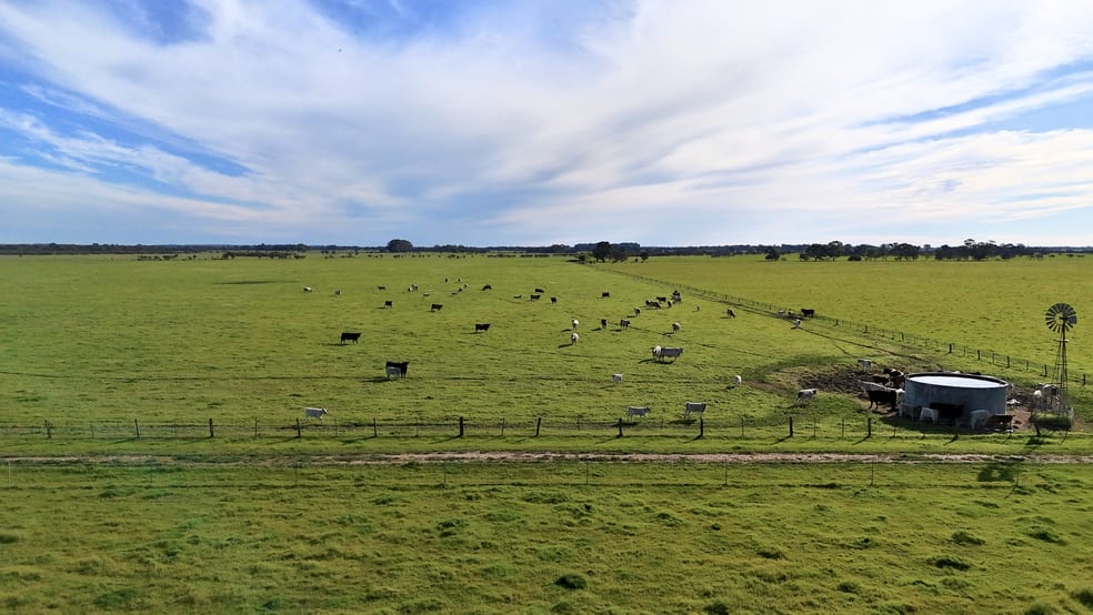 Click to view all images 754 Beermullah Road West Beermullah WA 6503 - Image 3
