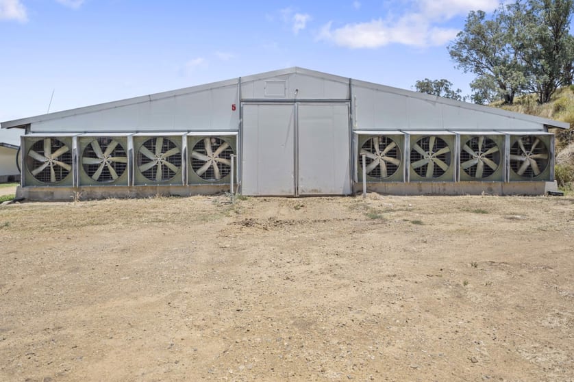 Click to view all images 2797 Manilla Road Attunga NSW 2345 - Image 5