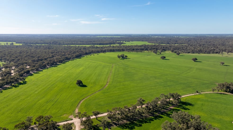 Click to view all images Cobwell Station Sandy Bridge Road Barham NSW 2732 - Image 2