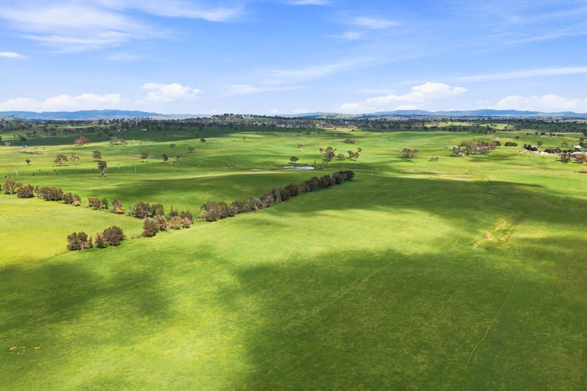 594 Dog Trap Road Yass NSW 2582 - Image 4