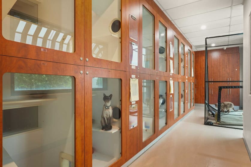 Click to view all images 7 Phillip Court Port Melbourne VIC 3207 - Image 3