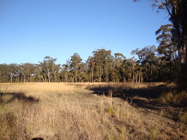 Click to view all images 5 Corella Close Berkeley Vale NSW 2261 - Image 1