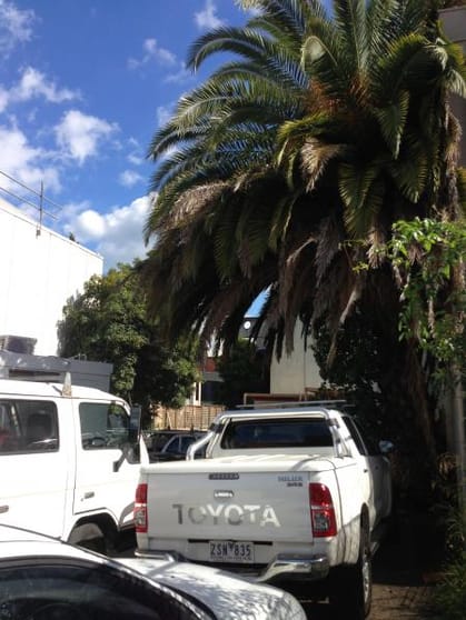 Click to view all images 33 Clifton Street Prahran VIC 3181 - Image 3