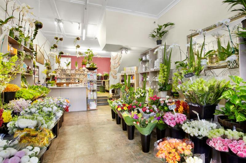 Click to view all images 326A Carlisle Street Balaclava VIC 3183 - Image 2