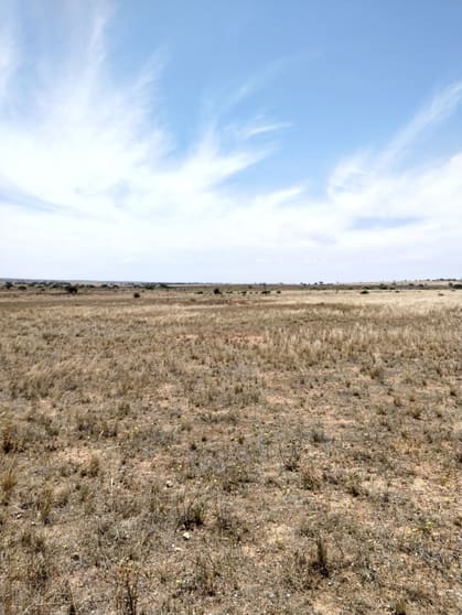 Click to view all images Lot 70 Eyre Highway Coorabie SA 5690 - Image 2