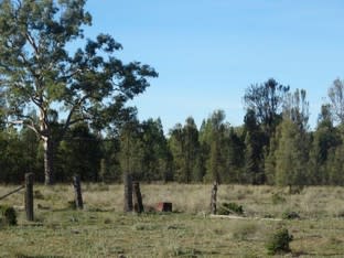 Lot 17 Wieambilla Road Wieambilla QLD 4413 - Image 3