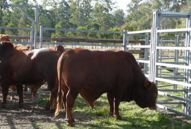 Click to view all images Whiporie NSW 2469 - Image 2