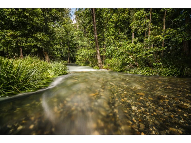 Click to view all images 930 promised land Road Bellingen NSW 2454 - Image 3