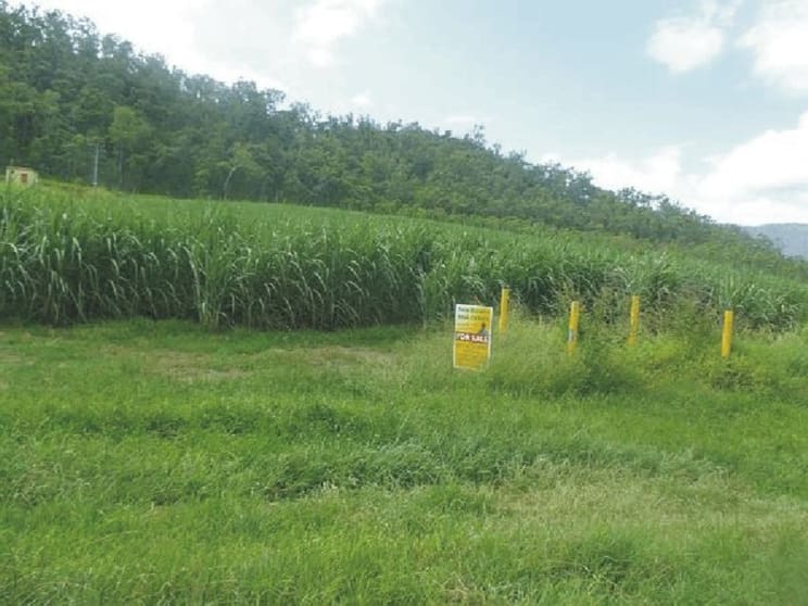 Click to view all images Lot 13 Stone River Road Upper Stone QLD 4850 - Image 1