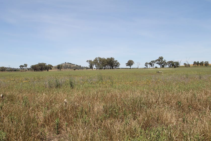 Click to view all images 1 & 67/ Bergalin Road Gulgong NSW 2852 - Image 2